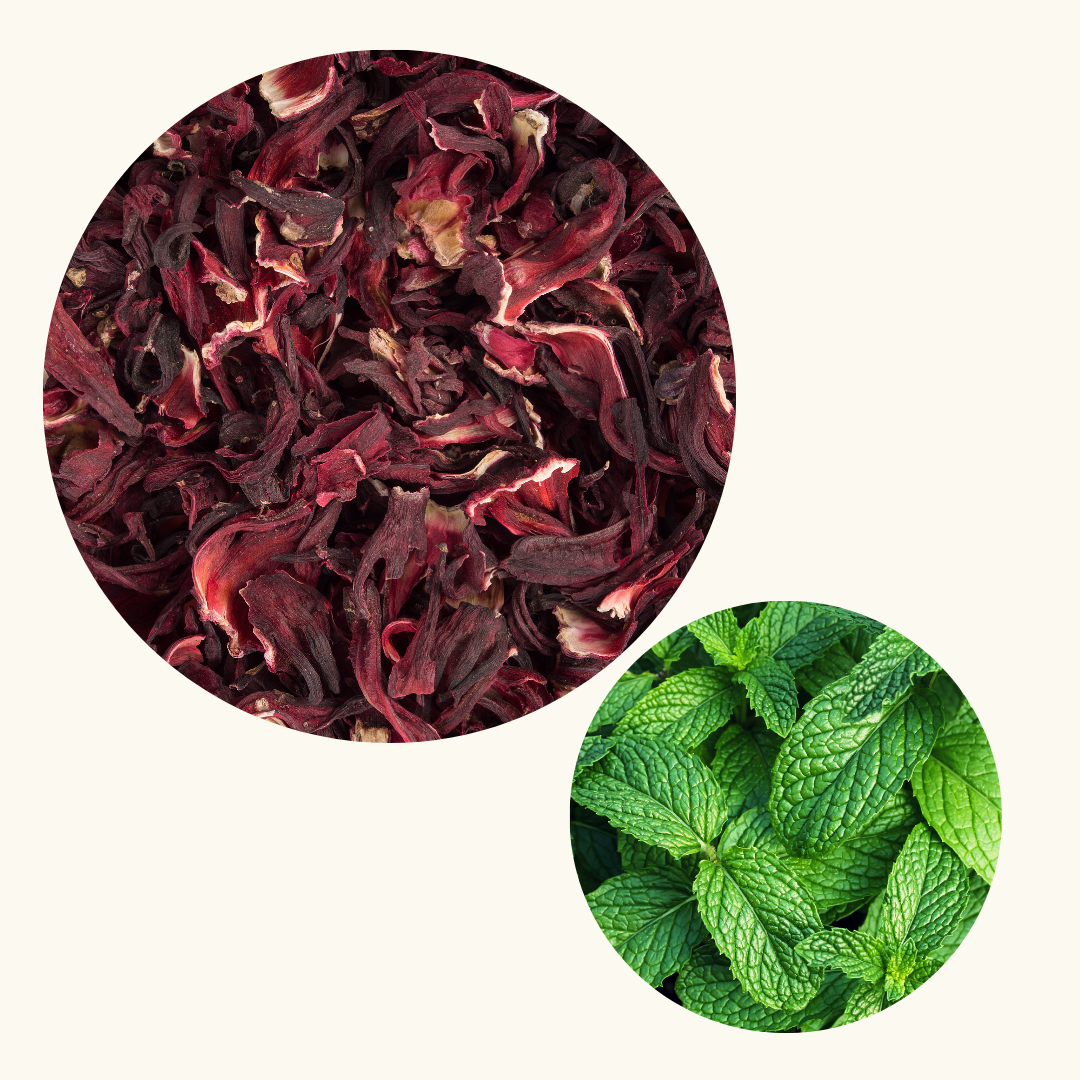Douzaine I Infusion Hibiscus Menthe I 100% Naturel