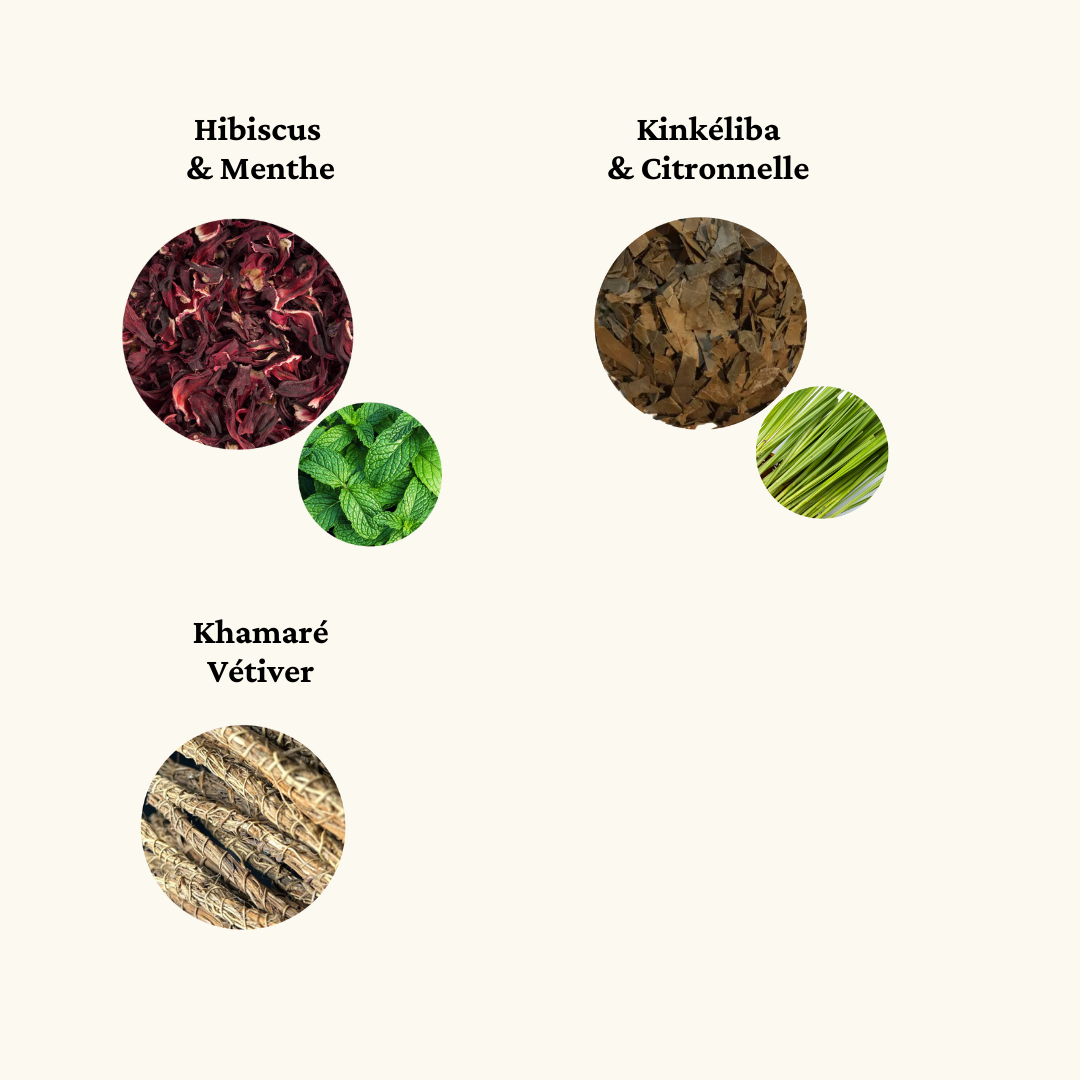 Pack 3 Saveurs I Natural Mandé I 3 Infusions 100% Naturelles - Khamaré, Kinkéliba Citronnelle et Hibiscus Menthe