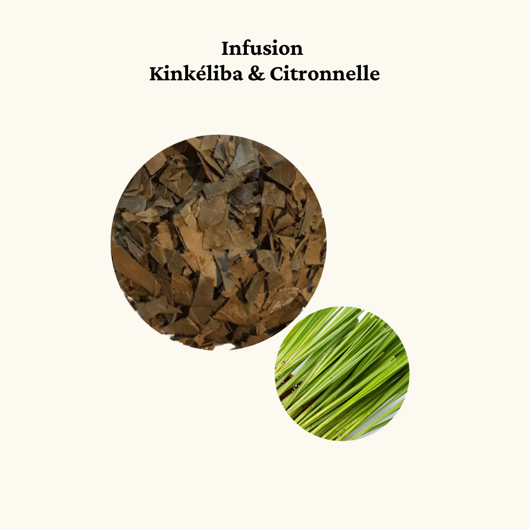 Lot de 2 I Natural Mandé I Infusion Kinkéliba Citronnelle I 20 sachets I 100% Naturel