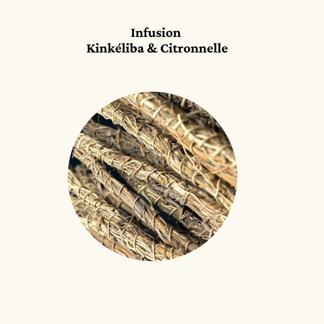 Lot de 2 I Natural Mandé I Infusion Khamaré Vétiver I 20 sachets I 100% Naturel